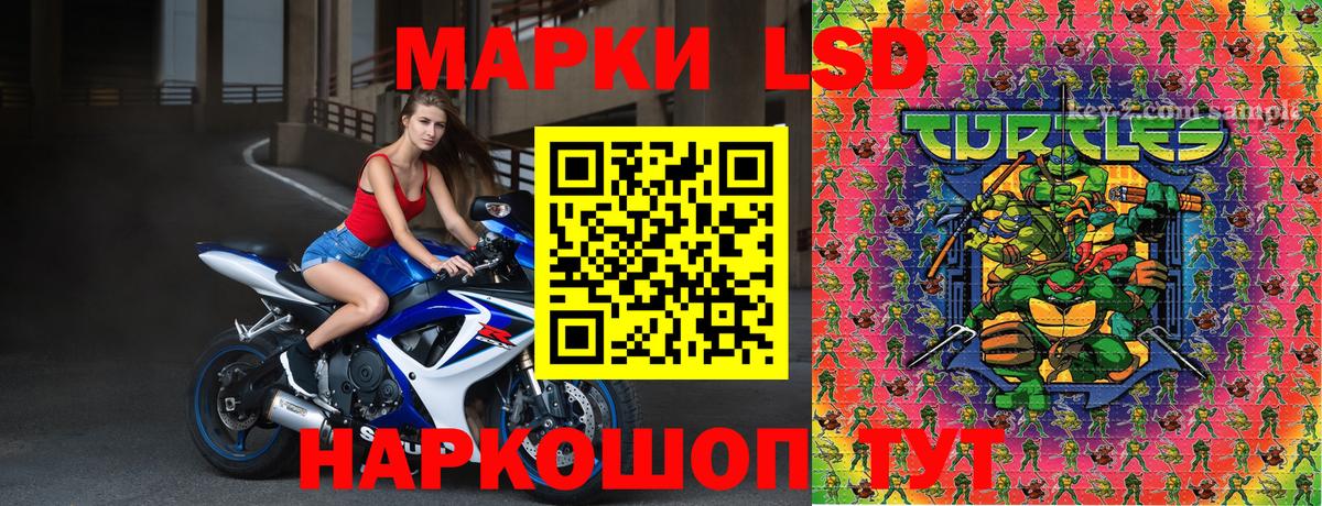 Марки N-bome 1,8мг  Марки NBOMe  Зима  Марки N-bome 1,8мг  Вход с VPN 