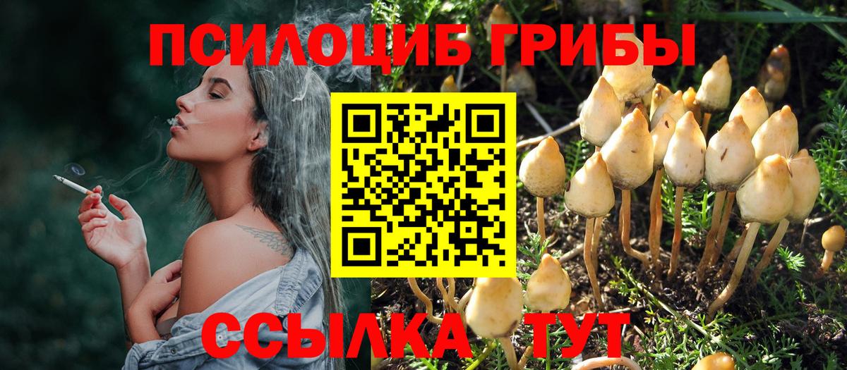 Псилоцибиновые грибы мицелий Зима