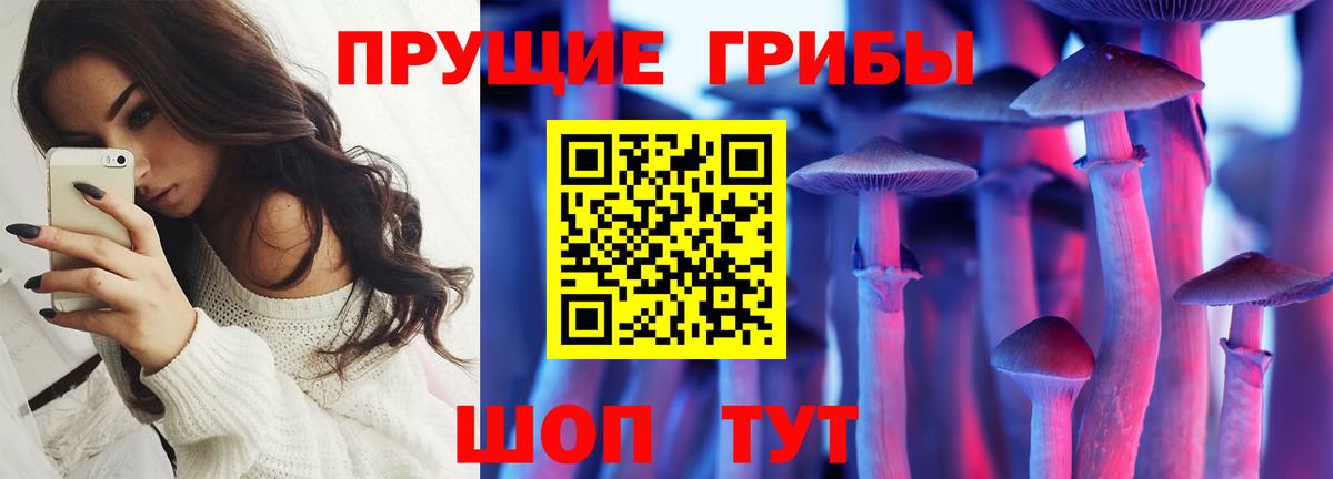 дарнет шоп  Псилоцибиновые грибы ЛСД  Зима  Вход с VPN  Псилоцибиновые грибы MAGIC MUSHROOMS 